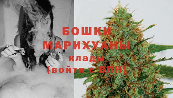 тгк Белокуриха