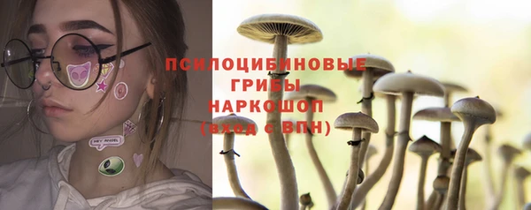 a pvp Беломорск