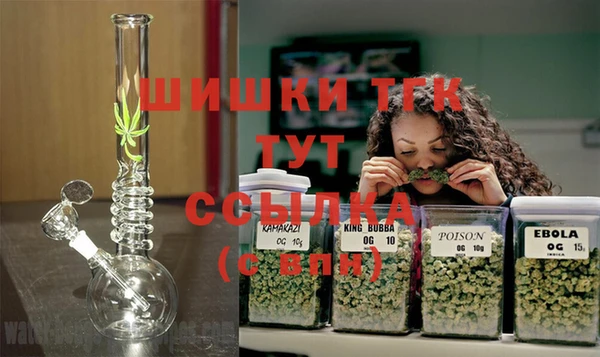 тгк Белокуриха
