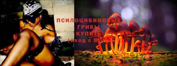 тгк Белокуриха