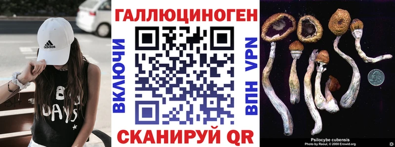 закладки Наволоки Псилоцибиновые грибы ЛСД